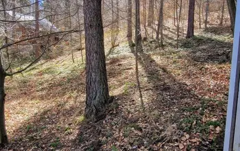 Auction image Парцел (ПИ, УПИ, двор)