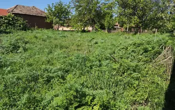 Auction image Land for building