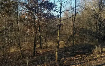 Auction image Land for building