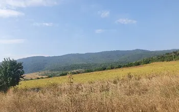Auction image Farmland