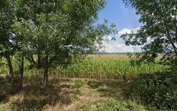 Farmland