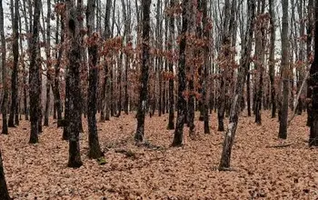 Вила, преместваема постройка