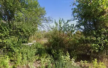 Auction image Farmland