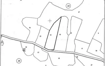 Auction image Farmland