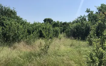 Land for building