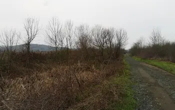 Farmland