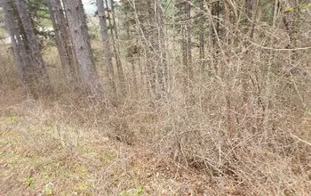 Auction image Land for building