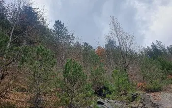 Auction image Land for building