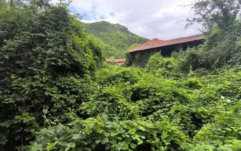 Auction image Land for building
