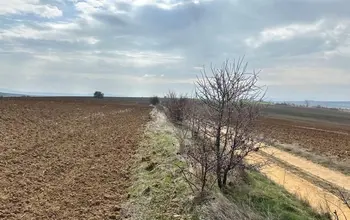 Auction image Farmland