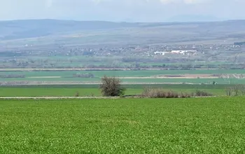 Auction image Farmland