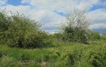 Auction image Land for building