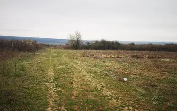 Auction image Farmland