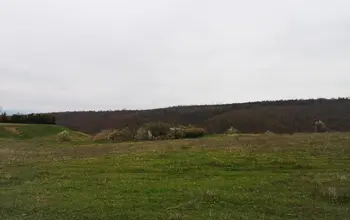 Auction image Farmland