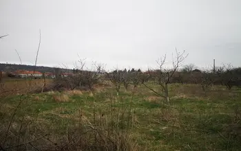 Auction image Farmland