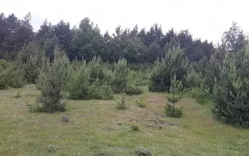 Auction image Land for building