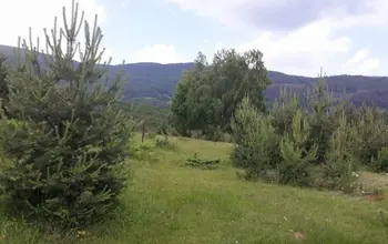 Auction image Land for building