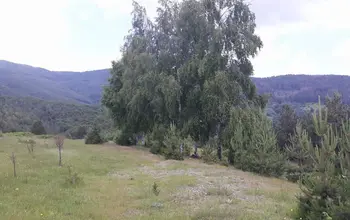Auction image Land for building