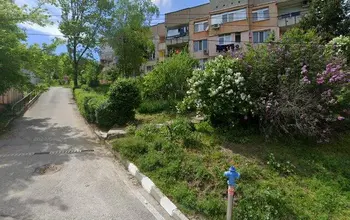 Auction image Други