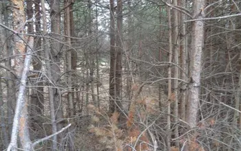 Auction image Land for building