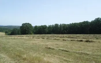 Auction image Други