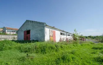 Auction image Farmland