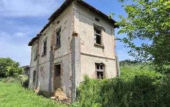 Auction image House