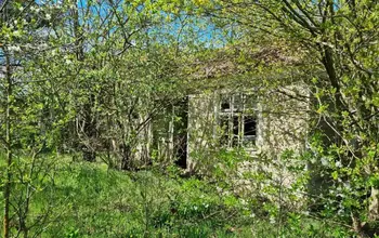 Auction image House