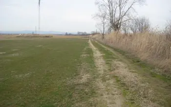 Auction image Farmland