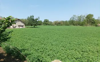 Auction image Land for building