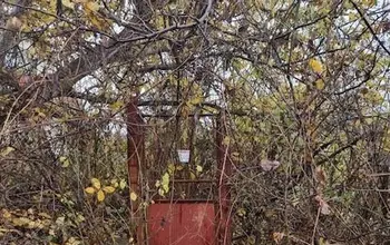 Auction image Парцел (ПИ, УПИ, двор)