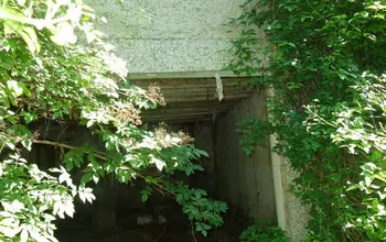 Auction image Къща