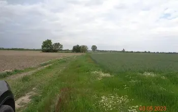 Auction image Farmland