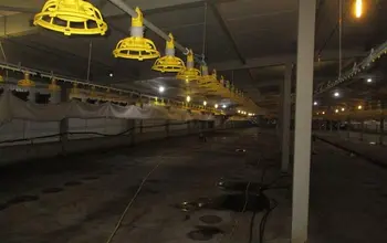 Auction image Фабрика, производствен имот