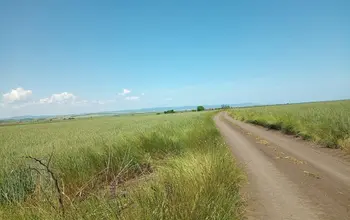 Auction image Farmland