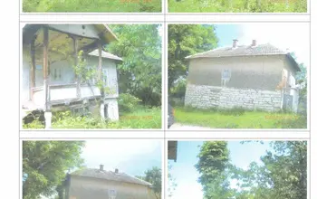 Auction image House