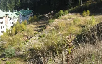 Land for building