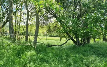 Auction image Land for building