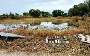 Auction image Farmland