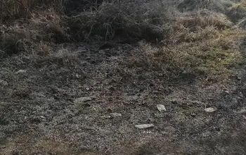 Auction image Land for building