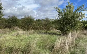 Auction image Land for building