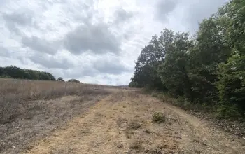 Auction image Farmland
