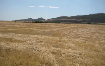 Auction image Farmland