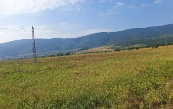 Auction image Farmland