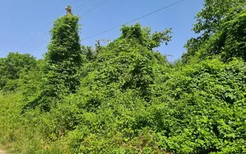 Auction image Land for building