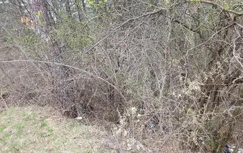 Auction image Land for building