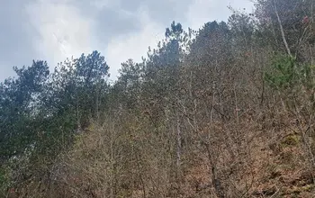 Auction image Land for building