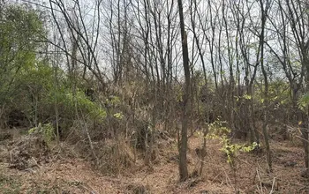 Auction image Farmland
