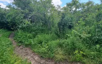 Land for building