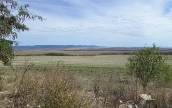 Auction image Farmland